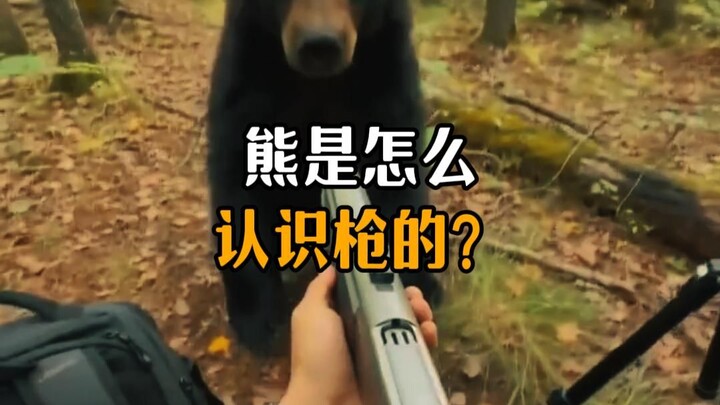 How did the bear come to know the truth?