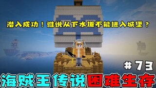 海贼王生存73