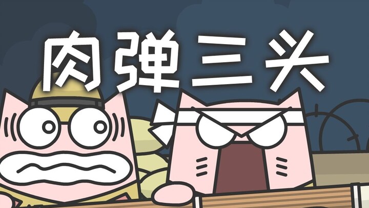 Presenting a misoperation as heroic propaganda
