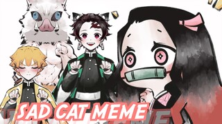 【鬼灭之刃/MEME】Sad Cat Dance，但祢豆子狂喜