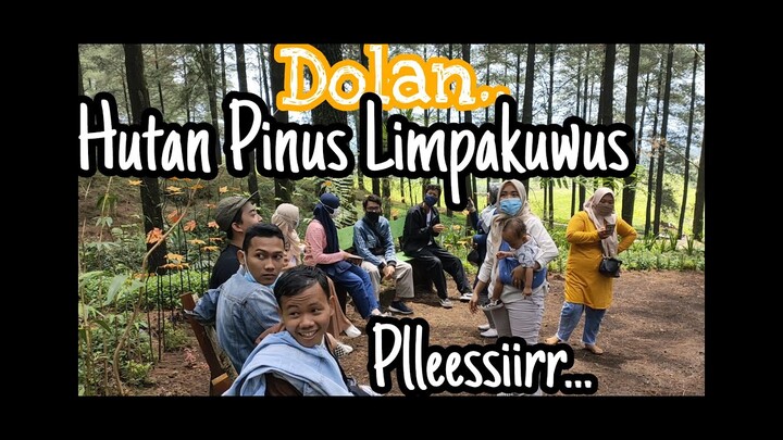 HUTAN PINUS LIMPAKUWUS