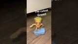 I am Groot 🤯 Guardians of the Galaxy Groot dancing to Mr. Blue Sky #viral #youtubeshorts #groot