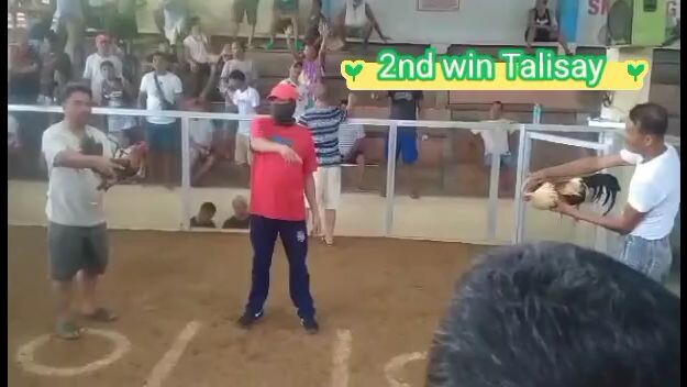 2nd win of my favorite talisay