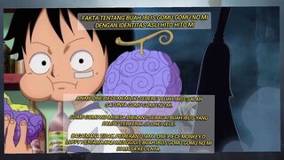 fakta menarik tentang buah iblis GOMU GOMU NO MI dengan identitas HITO HITO NO MI