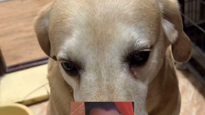 That golden-brown color really wasn’t smoked by me~