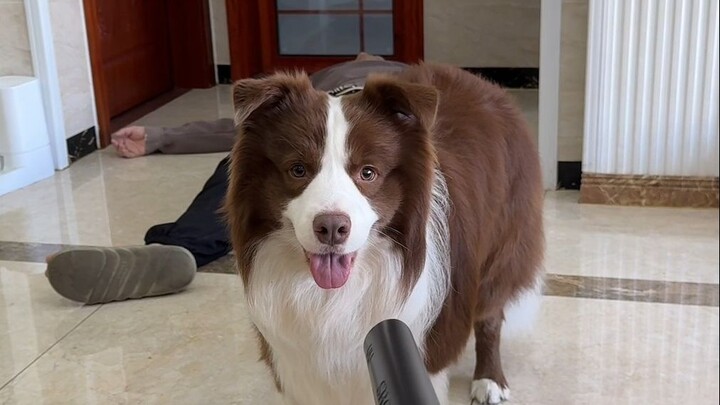 ปกติฉันรำคาญพ่ออยู่บ่อยๆ แต่ถ้าไม่มีพ่อจริงๆ ก็คงอยู่ไม่ได้หรอก