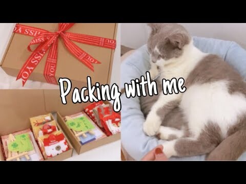 Packing with me | Christmas edition with mah cat