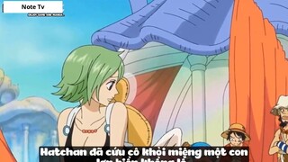 Top 6 Thánh Nhọ Trong One Piece #15- 2