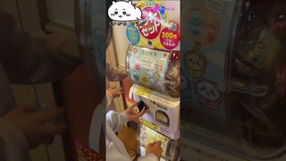 【怪盗ねずこ】kids funny video ファミレスのガチャガチャ#怪盗ねずこ#ファミレス #ガチャ