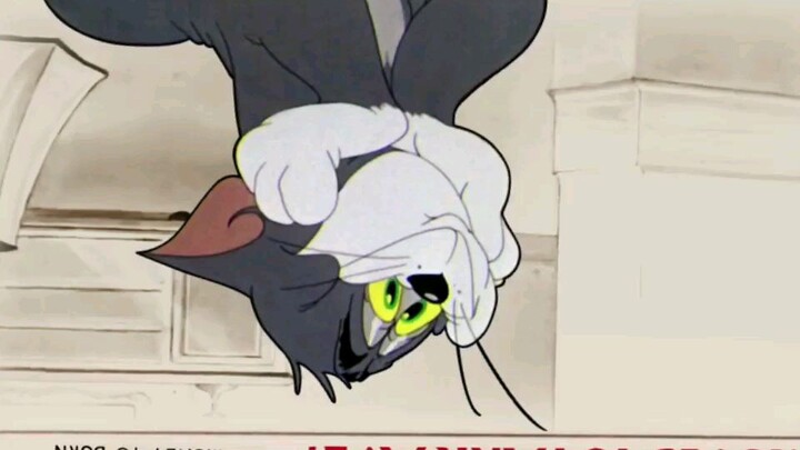 Tom and jerry