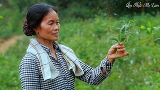 Rau tầm bóp xào tỏi hương vị quê nhà ( Wild Food ) I Ẩm Thực Mẹ Làm