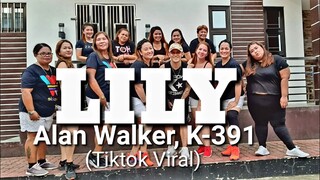 LILY - (Tiktok Remix) Alan Walker , K-391 |Zumba Dabarkads| TNC Mhon