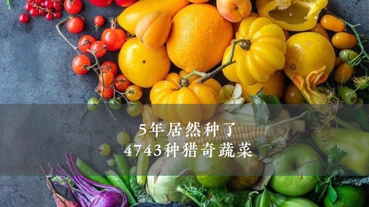 زرعت أكثر من 4743 نوعًا غريبًا من الخضروات خلال 5 سنوات 🍅 وتصدرت الترند!