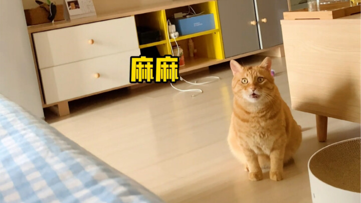 Bulan di laut adalah bulan di langit, orang di depan mata adalah orang di hati.