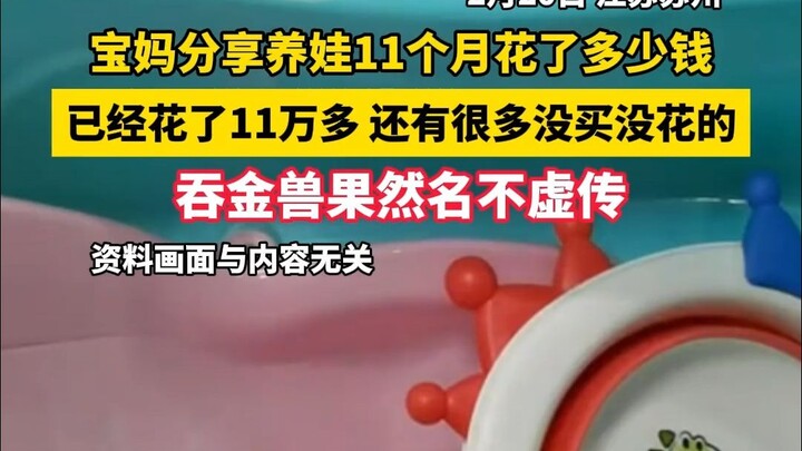 宝妈分享养娃11个月花了多少钱 已经花了11万多 还有很多没买没花的