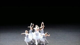 The funniest ballet performance! When a funny swan sneaks into a group of white swans