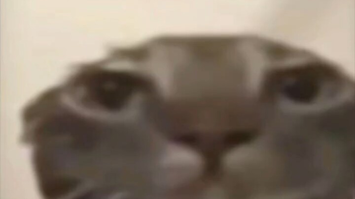 😂