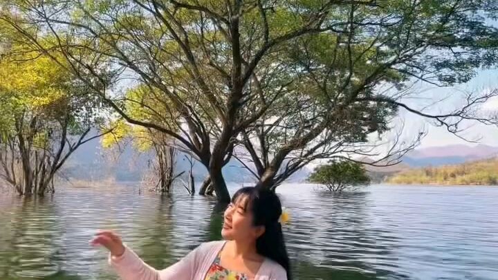 Submerged Wat Ban Kao, Thailand 🇹🇭