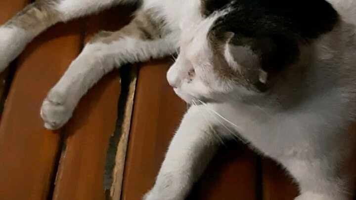 พี่แต้ม ep.3