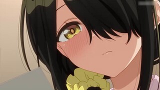 The plot is a mess! It's so depressing! Well-made but controversial! What went wrong? [Brothers and 