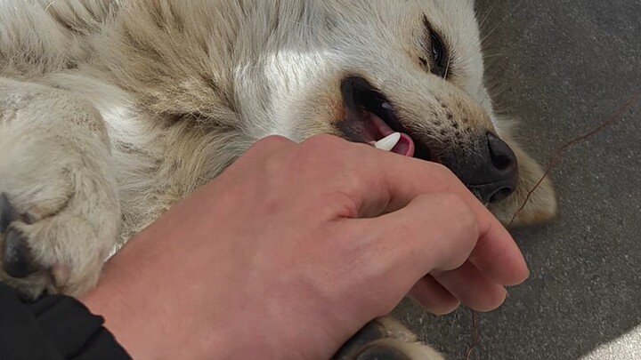 Bạn gái chậm nhiệt của tôi trong mối quan hệ yêu xa