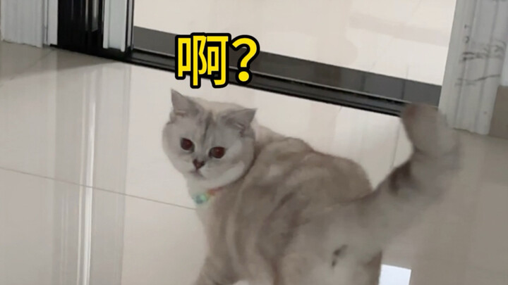 Cái tên tệ quá vậy