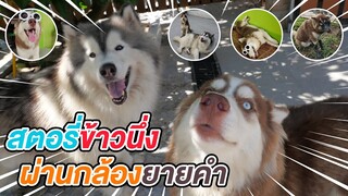 ข้าวนึ่งป่วนยายคำ - ข้าวนึ่ง & เดอะแก๊ง