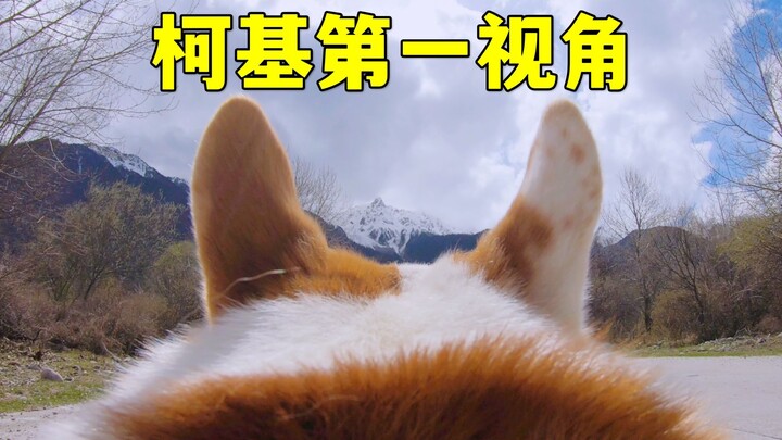 Tur Imersif Naik Anjing di Tibet Secara Online