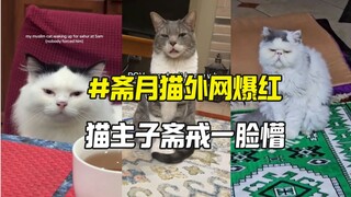 斋月猫外网爆红 铲屎官斋戒早起猫咪一脸懵