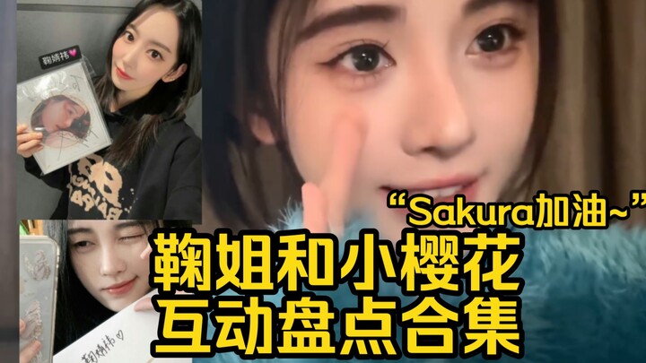 Hợp tác mơ ước! Cúc Tịnh Y cổ vũ cho concert tại Hồng Kông của Miyawaki Sakura – cùng điểm lại những