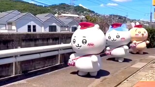 老师，我家宝宝乌萨奇怎么在最后一个呀？(//∇//)