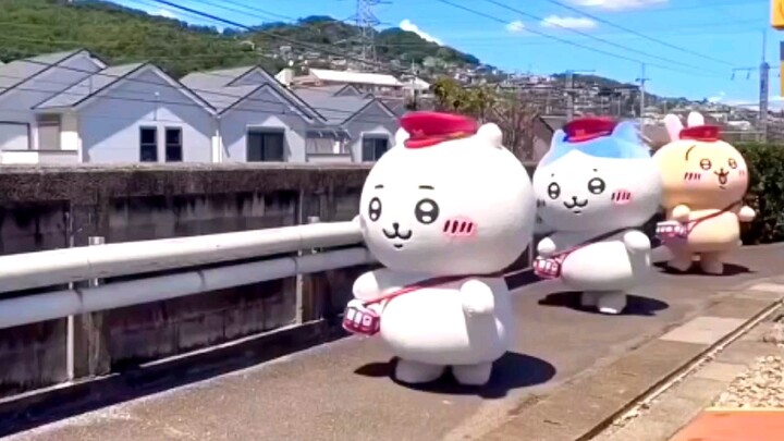 老师，我家宝宝乌萨奇怎么在最后一个呀？(//∇//)