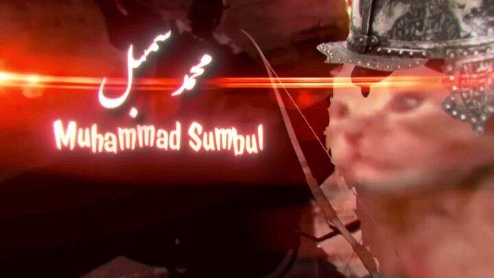 Muhammad Sumbul