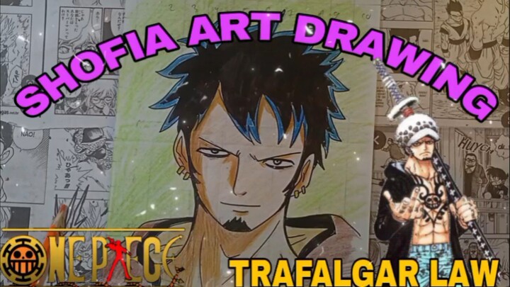 drawing anime one piece karakter Trafalgar law