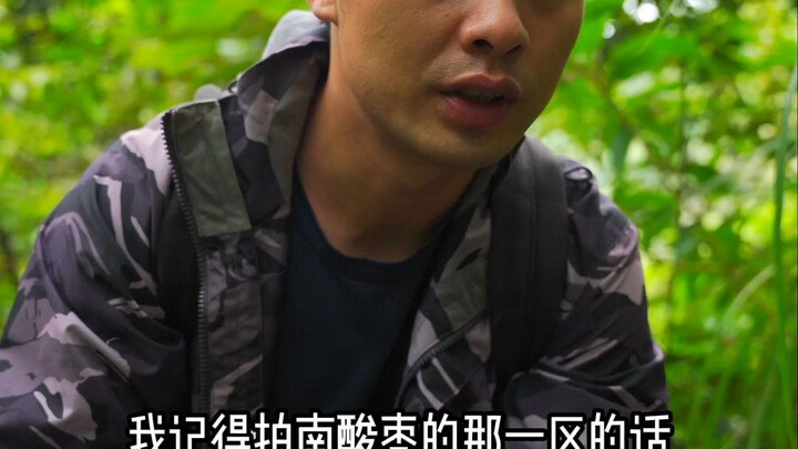 If you encounter this plant while surviving in the wild, you can rest easy!