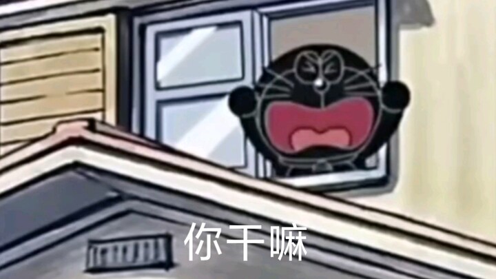 Why do you have so many different versions?