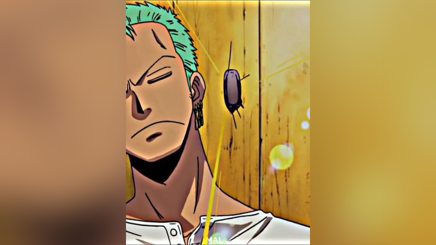 zoro emang beda🔥anime onepiece roronoazoro fyp xyzbca foryoupage