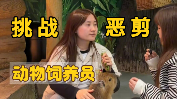 Challenge: Villainously Edit the Zookeeper’s Videos in a Clickbait Style