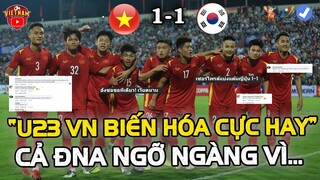 u23 Việt Nam Hòa 1-1 U20 Hàn Quốc, Khiến Cả ĐNA Giật Mình Ngã Ngửa Nói Điều Bất Ngờ
