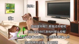 【Meme Kucing】Ketika saya akhirnya mengakui penyakit saya kepada orang tua saya, saya dimarahi sepert