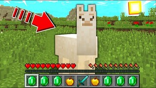 ถ้าเกิด!! ต้องมาใช้ชีวิตเป็น ลามะ 1 วัน ในมายคราฟ... 🦙 (Minecraft)