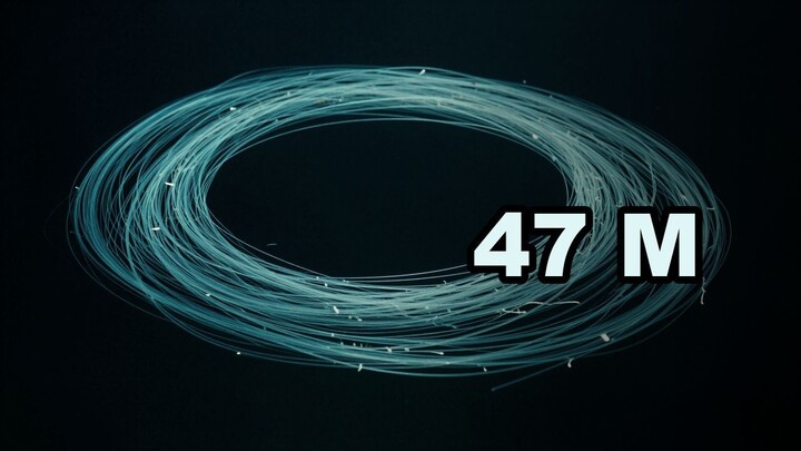 Why Nobody Will Say This Is the Longest Animal