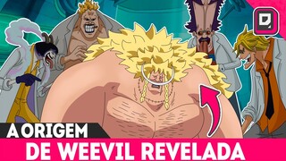 REVELADO O REAL PODER DE KUMA E A ORIGEM DE WEEVIL FINALMENTE EXPLICADA - ONE PIECE 1072