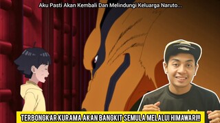Terbongkar Kurama Akan Bangkit Semula Melalui Himawari??
