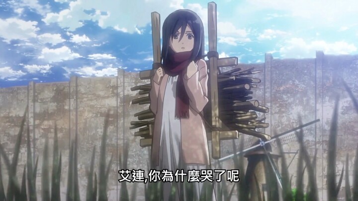 mikasa我好像做了一个很长的梦