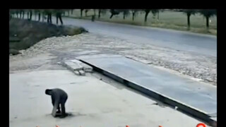 تأثير البرنامج: الزميل الصالح