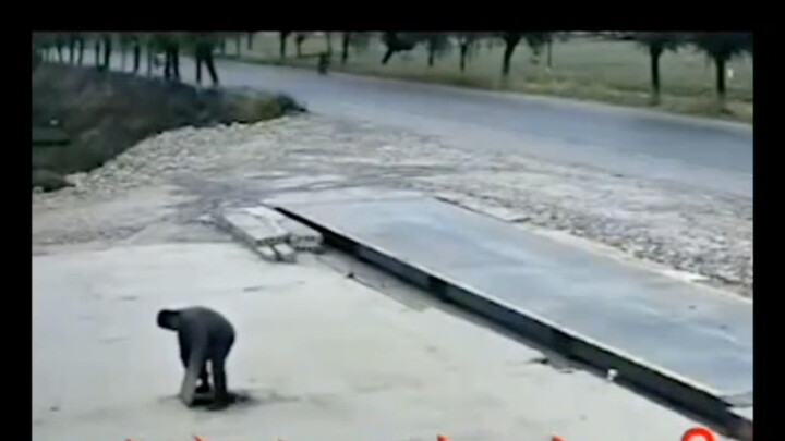 تأثير البرنامج: الزميل الصالح