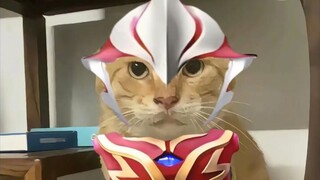Mebius Hakimi