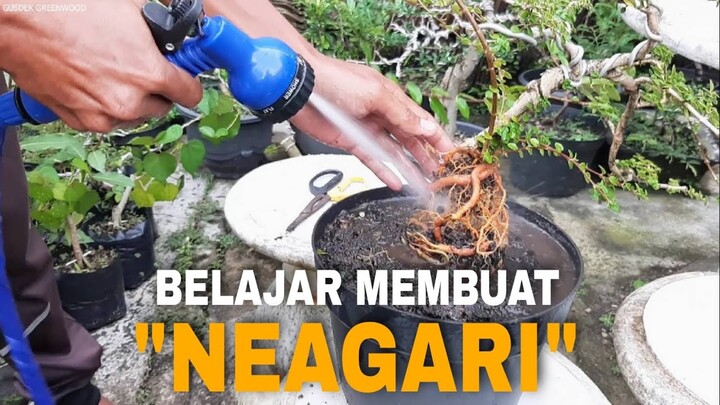 Bongkar Sancang Expose Root/Neagari