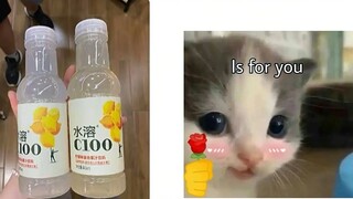 นี่คือสมบัติที่ควรมีไว้ทั่วอินเทอร์เน็ต #牡丹话香向香约丹江#停打打訴#工作爆裂#小城大爱#雷军